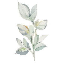 Watercolor painting of a delicate leafy branch.