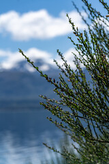 lake traful in Traful region close to Villa de angostura in Patagonia mountains in Argentina