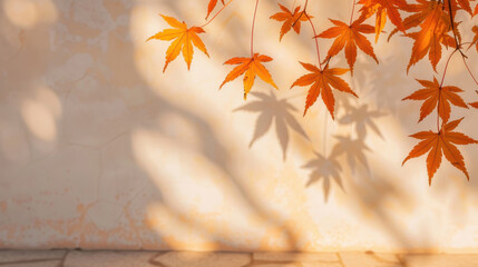 Vibrant autumn leaves casting shadows on a textured wall, showcasing the beauty of nature and seasonal change.