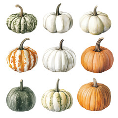 Collection of colorful pumpkins in various shapes and patterns perfect for autumn decoration display. Watercolor illustration on white background.