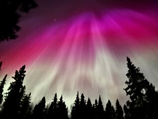 Fototapeta premium northern lights (beautiful aurora borealis)