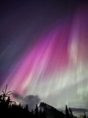 northern lights (beautiful aurora borealis)
