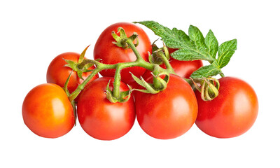 Fresh Tomatoes with green leaves. Tomato vegetables brunch. Vegetable tomatoes isolated. Organic natural farm grown food harvest. PNG.