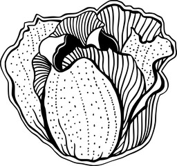 Rose Flower Tattoo Design, Inky Meditative Art Print Vector Decorative Element