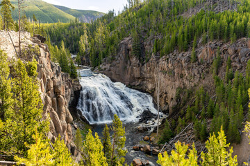 mountain river in the forest