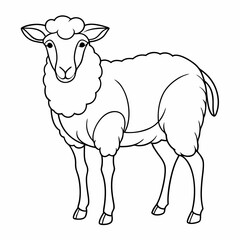 continuous single line drawing of domestic sheep, line art vector illustration
