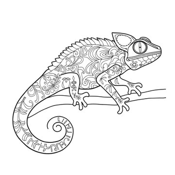 recommend clip art: Coloring page outline of a chameleon lizard on an Isolated transparent background. generated with AI