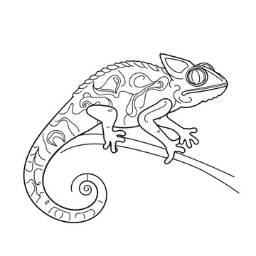 recommend clip art: Coloring page outline of a chameleon lizard on an Isolated transparent background. generated with AI
