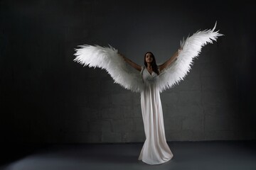 Woman Wearing Angel Wings in Studio