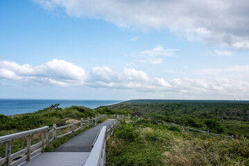Cape cod Massachusetts, boardwalk along the dunes of the ocean