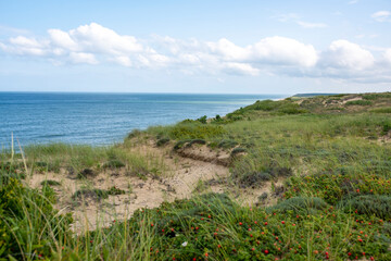 Cape cod Massachusetts dunes along the wilderness