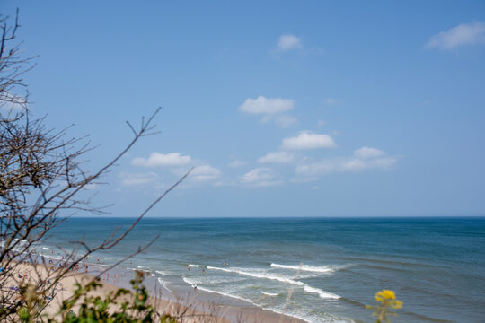 Cape cod denizens around the water from within the bluffs