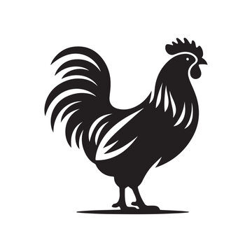 recommend clip art: Chicken silhouette vector illustration