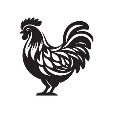 recommend clip art: Chicken silhouette vector illustration
