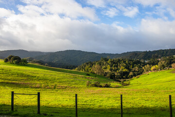 Beautiful view of mountains with green meadows in spring in California's Silicon Valley. Taken while hiking on a trail near Stanford.
