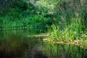 Beautiful landscape, summer, nature, river
