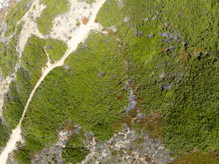 A winding path carves through a lush green landscape a perfect escape from the hustle and bustle