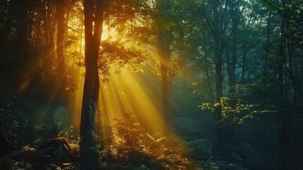 Fototapeta premium Nature s Enchanting Embrace NaturePhotography