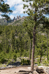 The Needles of Custer State Park in the Black Hills, South Dakota