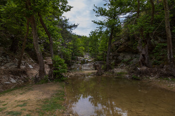 Obraz premium Fresh water lake Maries on the island of Thassos Greece - flowing water from the mountains - waterfalls