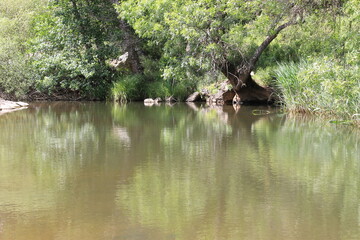 Parque Natural de Despeñaperros, cascada de la Cimbarra - Aldeaquemada, Jaén - 2016 - 64