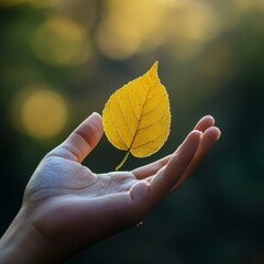 Captivating stock images to enhance and elevate the impact of keynote presentations