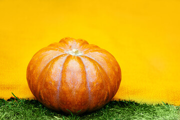 Pumpkin on a yellow background.