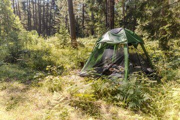 The green tent is opened, with only the mosquito net left in place to air out the belongings. Forest, summer, camping. © elenarostunova