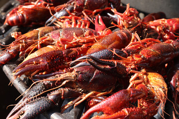 Large red crayfish cooked on the grill, close-up