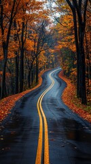 Fototapeta premium Highway road through the autumn forest. Autumn forest road. Road in autumn forest. Autumn road way
