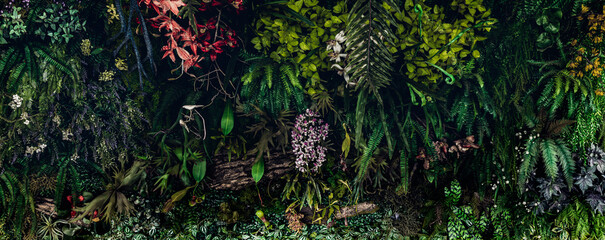 Herb wall, plant wall, natural green wallpaper and background. nature wall. Nature background of...