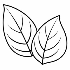 Two leave  line art  Silhouette Vector illustration