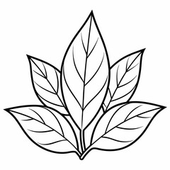  foliage line art Silhouette Vector illustration