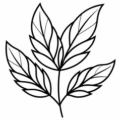  foliage line art Silhouette Vector illustration