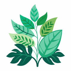 foliage  color  Vector illustration