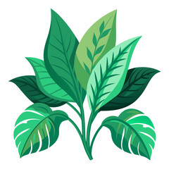 foliage  color  Vector illustration