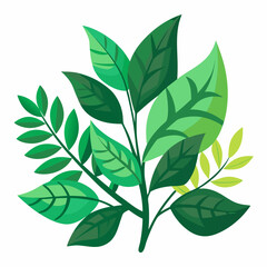 foliage  color  Vector illustration