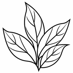 foliage  Silhouette Vector illustration