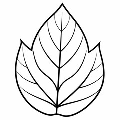 Best  leave  line art Silhouette Vector illustration
