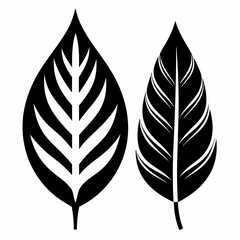  Two leave Silhouette Vector illustration