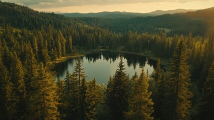 Fototapeta premium Aerial View of a Forest Lake at Sunset