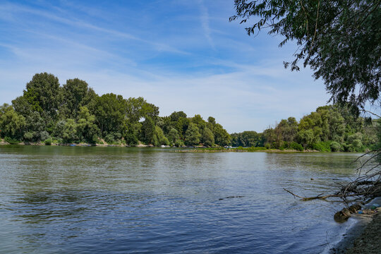 Summer landscape of Tisza valley near the confluence with Mures river, Szeged, Hungary, Europe