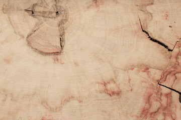 Table made of wooden slab with live edge. Luxury quality wood processing. Exclusive coffee table...