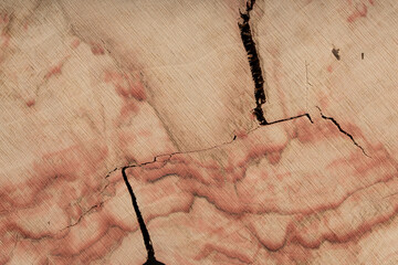 Table made of wooden slab with live edge. Luxury quality wood processing. Exclusive coffee table made of solid wood. Tabletop with live edge and natural cracks. Wooden table on a dark background.