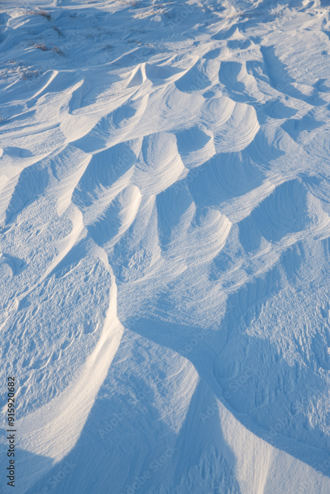 Wall mural snow texture. wind sculpted patterns on snow surface. wind in the tundra and in the mountains on the