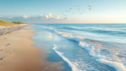 A high angle view of a pristine beach at dawn, with gentle waves and seagulls.