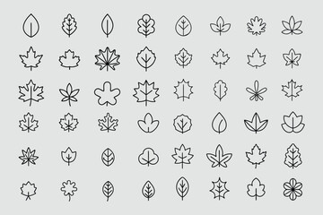  Harvest Festival Icons and Pumpkins - Nature, Symbol, and Thin Line Vector Set | Pro Illustration