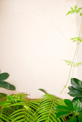 Details of natural green leaves in the outdoor garden, natural light, colorful green chlorophyll, organic space, gardening and details in the architectural area.