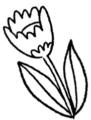 Sketch of a Protea