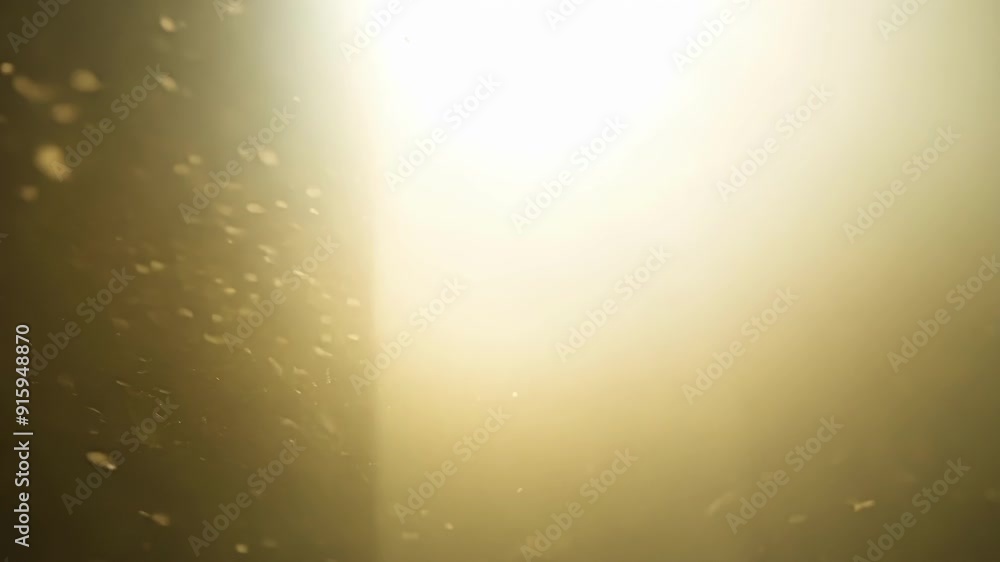 Fototapete The light from a window streaming in and illuminating the dust particles floating in the air creating a hazy and dreamy atmosphere.